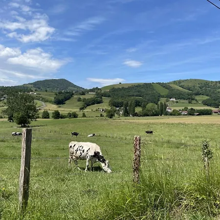 Komaxurinea Сasa de vacaciones