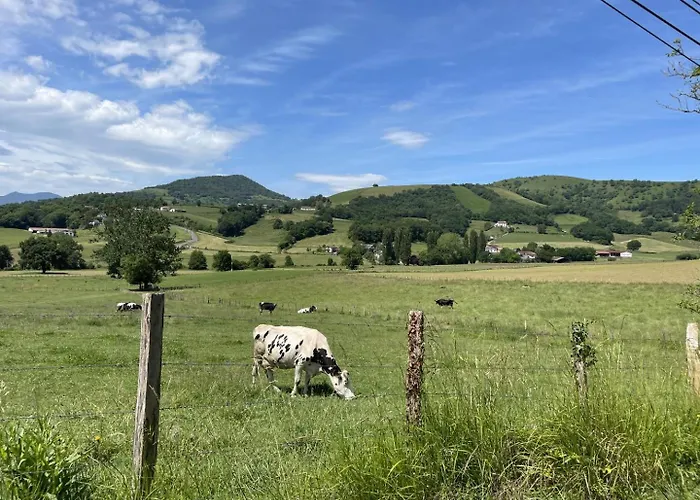 Komaxurinea Nyaraló